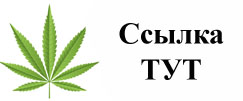 Купить наркотики в Иваново